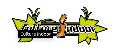 My Website